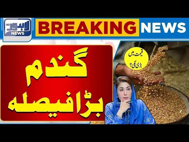 Important News Regarding Wheat | Latest Update | Lahore News HD