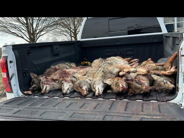 S2 E4 Illinois Thermal Coyote Tournament (Nuggets Night Vision Predator Challenge)