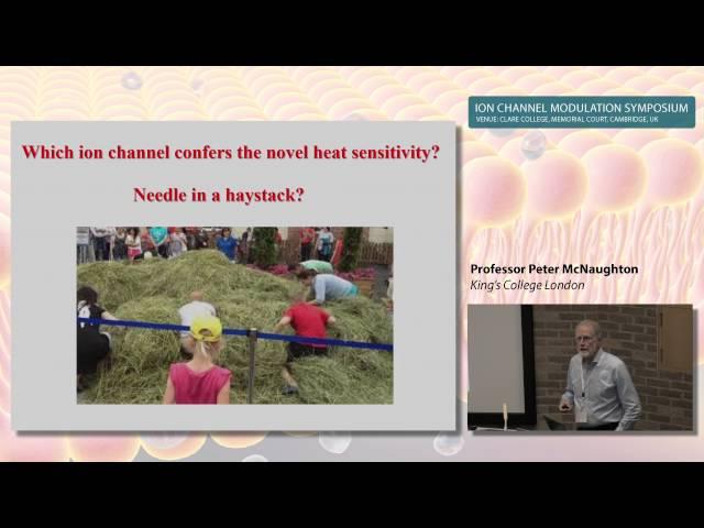 Professor Peter McNaughton, King's College
