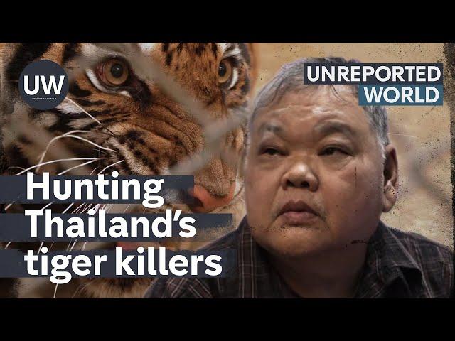 Thailand’s Tiger Kingpins | Unreported World