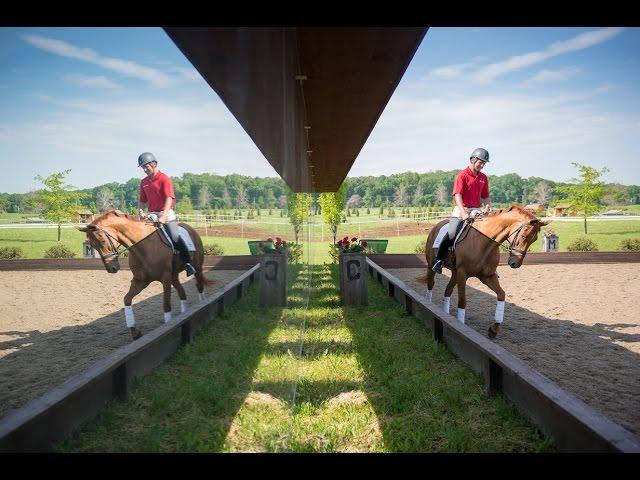 Stories of Greatness: Boyd Martin, Three-Day Eventer