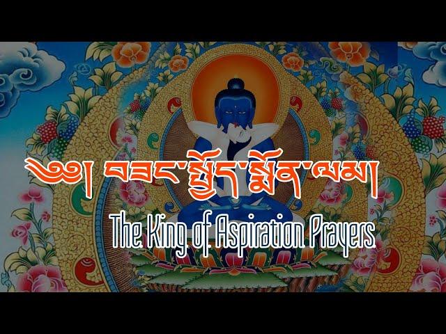 ༄༅། བཟང་སྤྱོད་སྨོན་ལམ།། -The King of Aspiration Prayers|Kuntuzangpo,  Buddhist Prayer, Samantabhadra