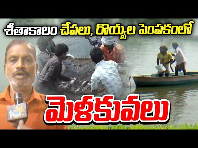 శీతాకాలం చేపలు, రొయ్యల పెంపకంలో మెళకువలు | Fishing and Aquaculture | Matti Manishi | 10TV