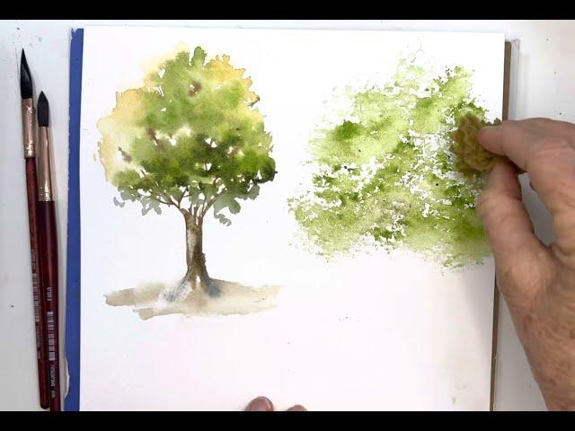 3 Easy Watercolor Trees Every Beginner Can Paint Today! 