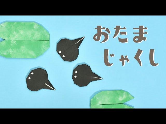 ORIGAMI Tadpole (Origaminojikan)