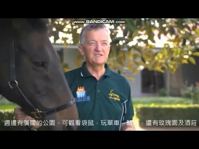 皇者的退休樂園，馬王睇牙 Champion Horses' retirement life