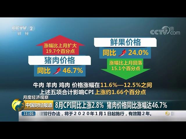 [中国财经报道]月度经济观察 8月CPI同比上涨2.8% 猪肉价格同比涨幅达46.7%| CCTV财经