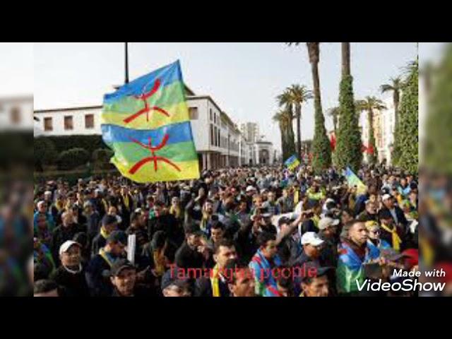 What is the origin of the Amazighs..