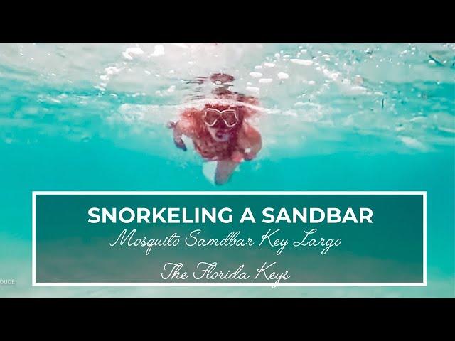 Discovering the Secret World Beneath the Waves:  Snorkeling in Mosquito Sandbar, Key Largo