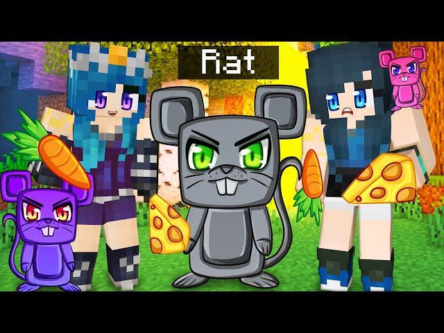 Taking care of CRAZY RATS in Minecraft!