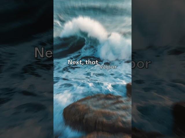 The Role of Oceans in the Water Cycle#facts#knowledge#ocean#viralshorts#reels#knowledge#shorts