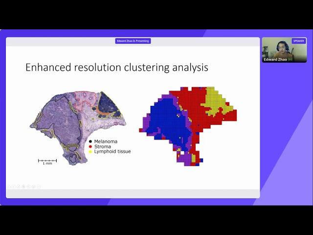 BayesSpace enables the robust characterization of spatial gene expression architecture