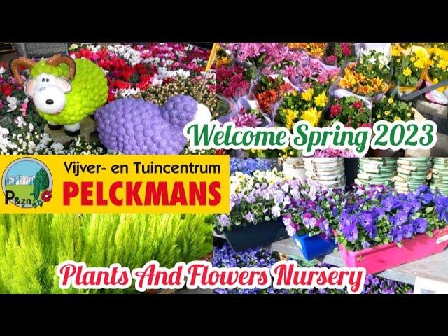 2023 Plant Haul & Nursery Tour|Pelckmans Turnhout|Plants & Flowers Nursery Tour|Spring Plants Haul