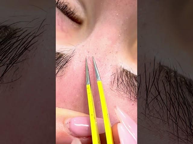 Brow tweezing and shape tutorial #brows #eyebrows #browtips #browtweezing #browmaster