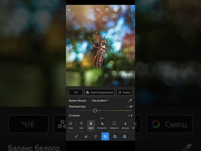 Обработка фото в lightroom mobile #lightroom #фотограф #креатив #Photoshop