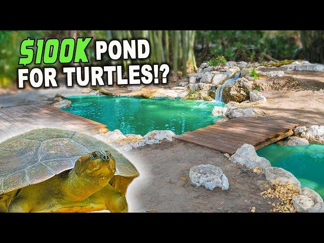 Ultimate Pond For South American Turtles - KAMP KENAN