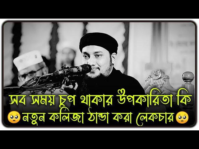 সবসময় চুপচাপ থাকার উপকারিতা কী  ।। আবু ত্বহা মুহাম্মদ আদনান, ।। abu taha muhammad adnan new waz