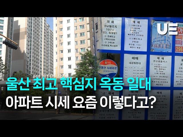 "역대 최고가 기록"...울산 핵심지 옥동 아파트 시세 이 정도?