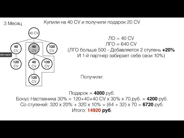 Как растет доход каждого сотрудника компании AGenYZ каждый месяц. Схема 1+1