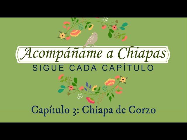 CHIAPAS CAP 3-CHIAPA DE CORZO