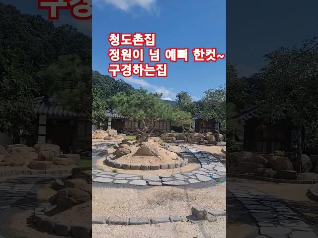 #청도촌집#청도시골집#경산부동산#shorts#마당넓은집