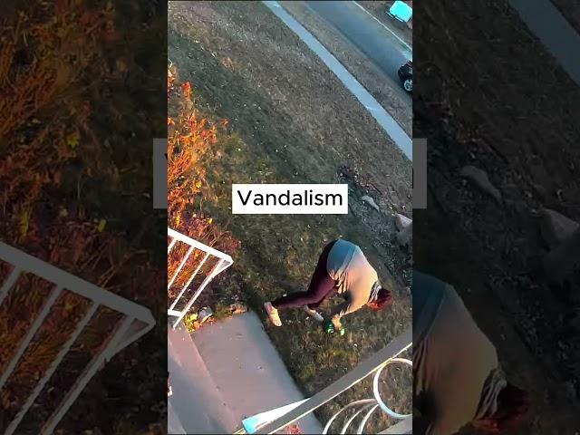 What our Deep Sentinel cameras caught in the last week #shorts #homesecurity #securitycamera