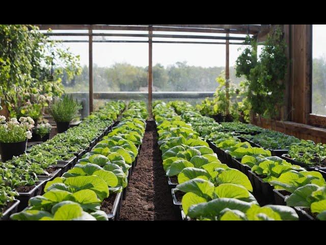 Hydroponics 101: Start Your Soil-Free Garden Today