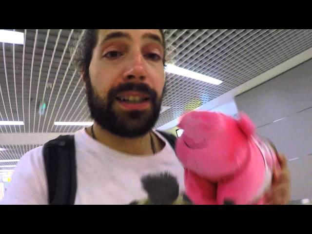 Airport Theft: The Stolen Pig