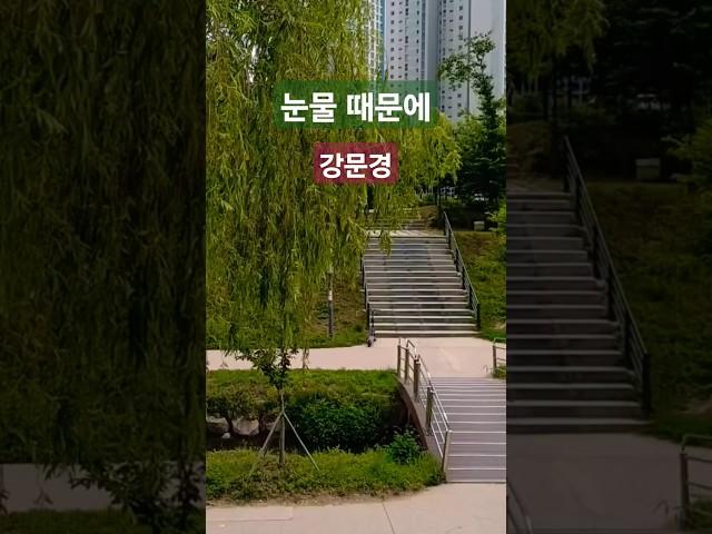 눈물때문에 #강문경 구독&좋아요 #스타일스타 #shorts #현역가왕2