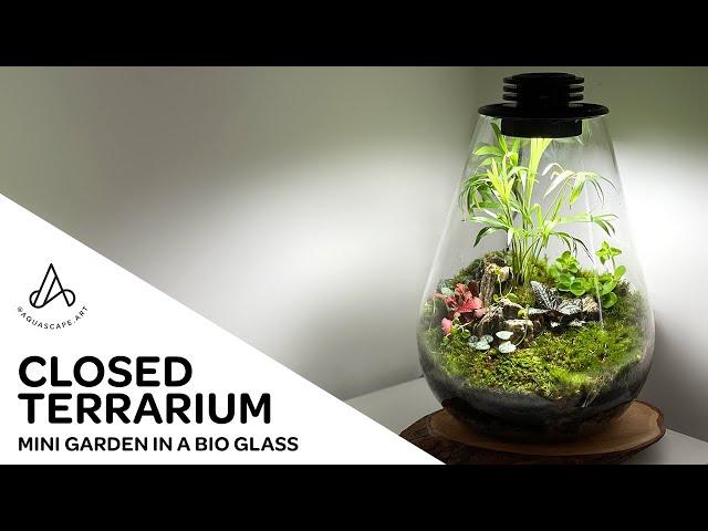 How to make an easy mini terrarium moss garden in a closed tear drop Biolark Bio Glass Bottle