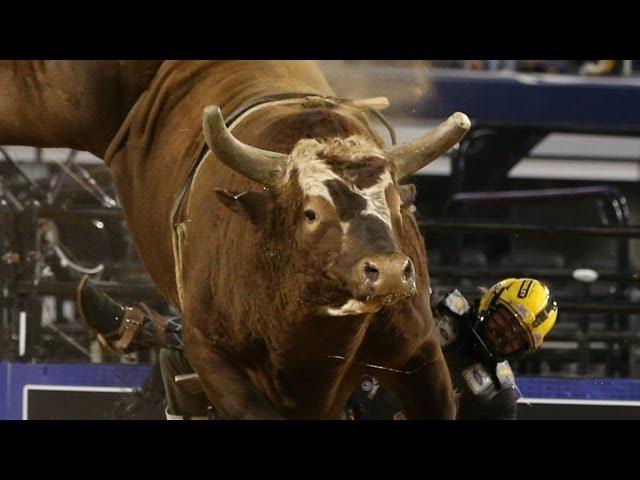 Bushwacker: 39 straight buck offs