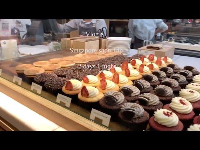 Vlog 8. Singapore short trip 2 days 1 night | 二重丸日本餐 , Plain Vanilla , Cremier , 香港云吞面