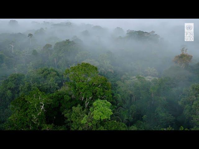 COP16 sur la biodiversité – Quels sont les enjeux ?