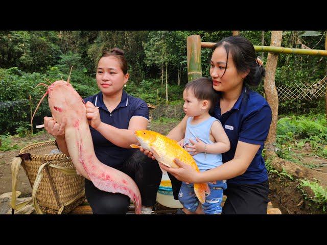 Ly Thi Ca Donated Fish - Make Bamboo Fence - Build Shelters For Catfish | Lý Phúc An