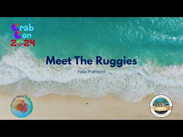 Meet the Ruggies - Felix Pramono Crab Con 2024