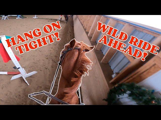 MEET RED! This Riding Lesson Took A Crazy Turn!