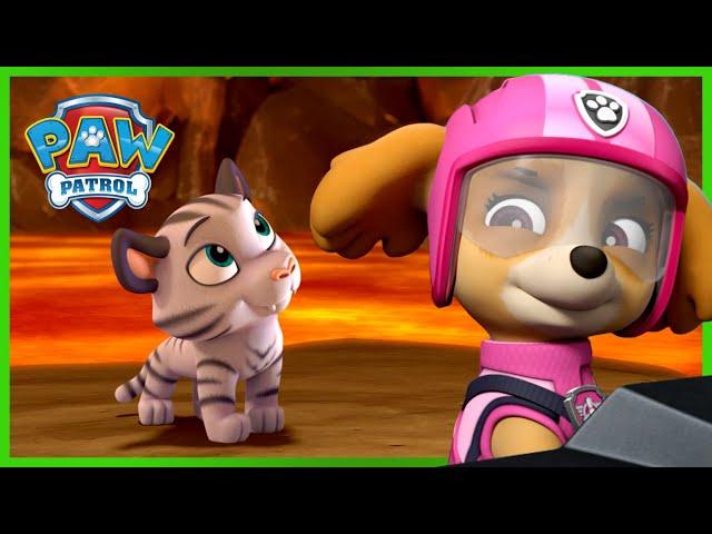 汪汪队终极救援：拯救老虎！- PAW Patrol 汪汪队立大功 - 儿童卡通