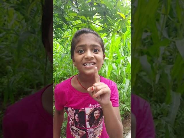 manvitha videos