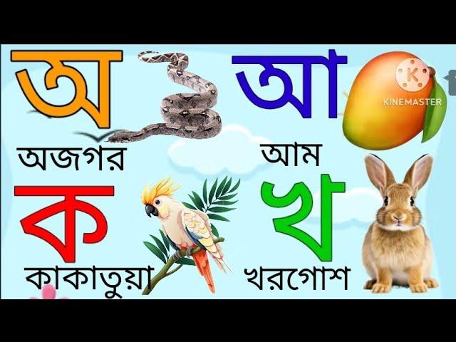 অআইঈ।।কখগঘঙ।। বাংলা বর্ণমালা।।অ অজগর আ আম।।ক কাকাতুয়া খ খরগোশ।। বাংলা বর্ণমালা শিক্ষা।।