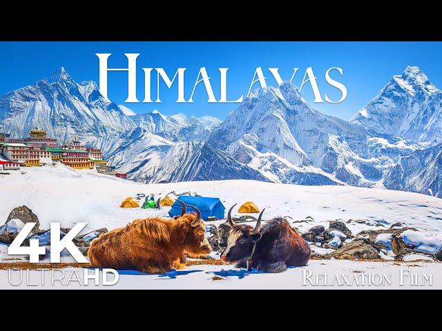 Himalaya 4K Ultra HD | The Roof of the World - Horizon View from Everest by Relaxation Film