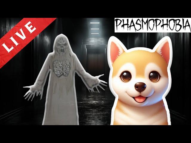 SEARA HORROR ALATURI DE FANTOME┃LIVE