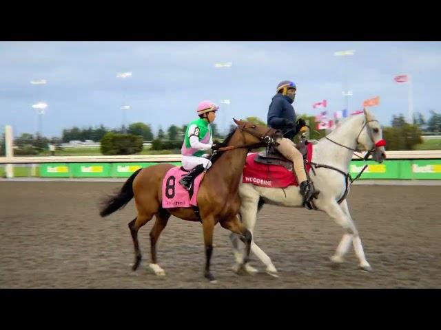 Gulfstream Park Replay Show | December 26, 2024