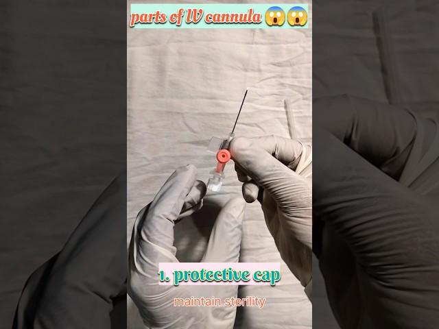 parts of IV cannula : explain with function