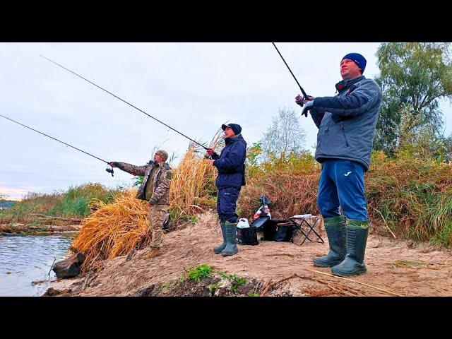 Ловили ВСІ мішками! ТОННИ риби стоїть під корчем! Рибалка на СПІНІНГ з берега!