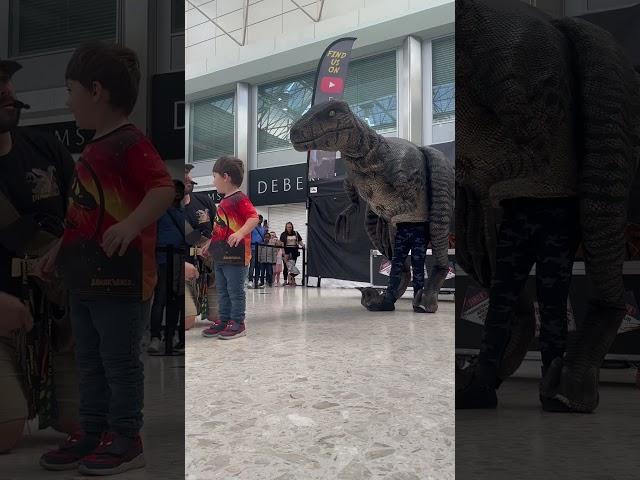 Raptor doesn’t like being told off! #dinomania #dinosaur