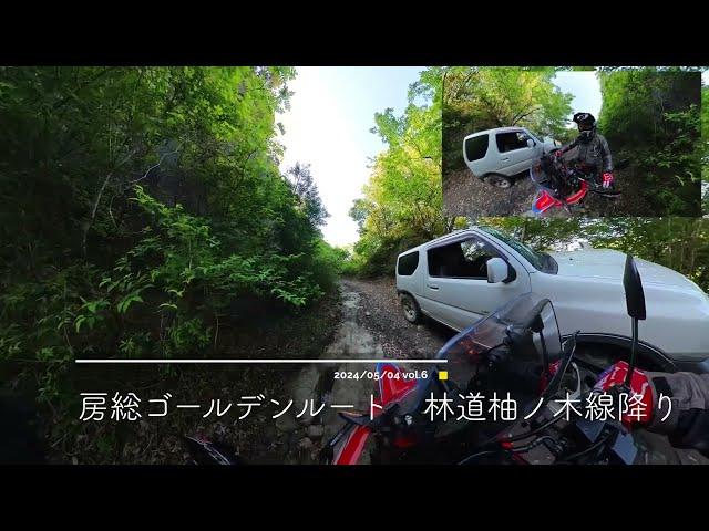 CRF250RALLY 房総林道ツーリング ゴールデンルート⑥ 林道柚ノ木線 降り2024/05/04