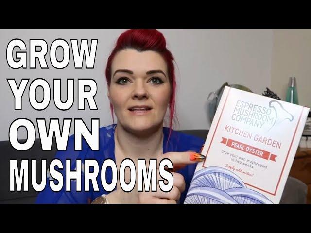 Grow your own Pearl Oyster Mushrooms / Espresso Mushroom Company REVIEW / MoggyBoxCraft