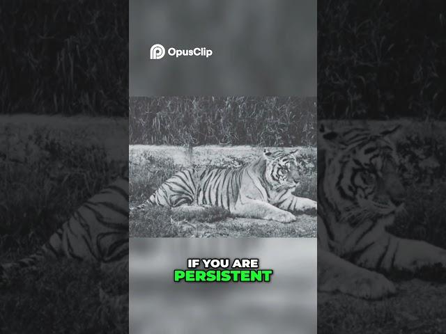 Embrace Fearlessness: Step Boldly Like a Tiger #shorts #motivation