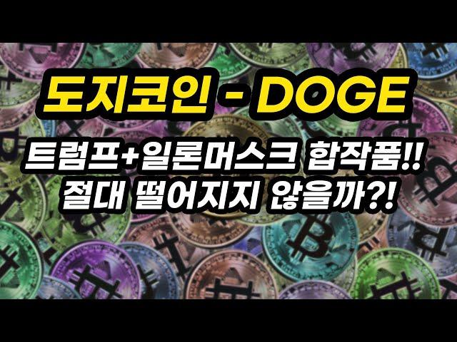 도지코인 - DOGE 투자포인트│트럼프+일론머스크 합작품!! 절대 떨어지지 않을까?!