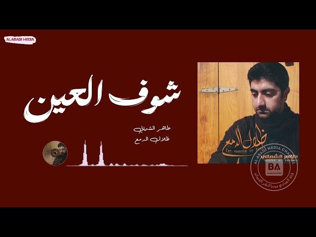 طاهر الشمالي شوف العين